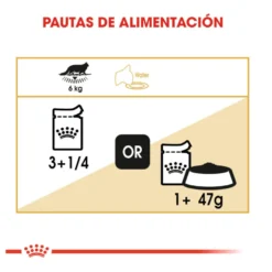 Royal Canin Maine Coon sobres para gatos