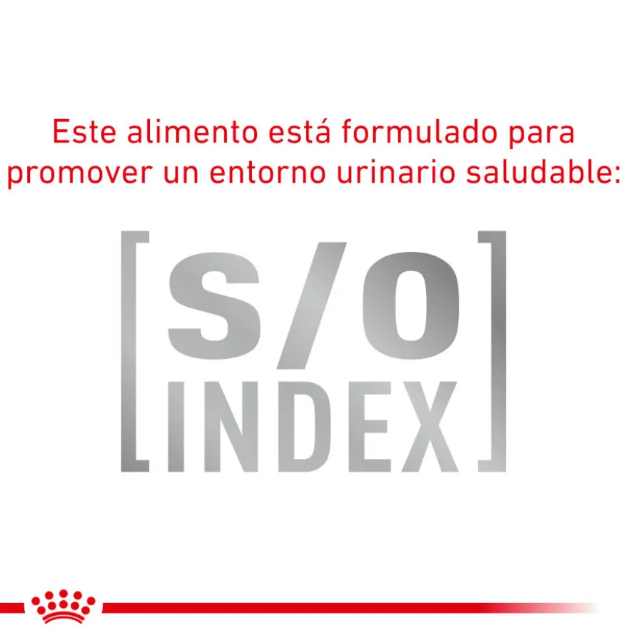 Royal Canin Mature Consult Balance Paté sobre para gatos