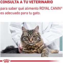 Royal Canin Mature Consult Balance Paté sobre para gatos