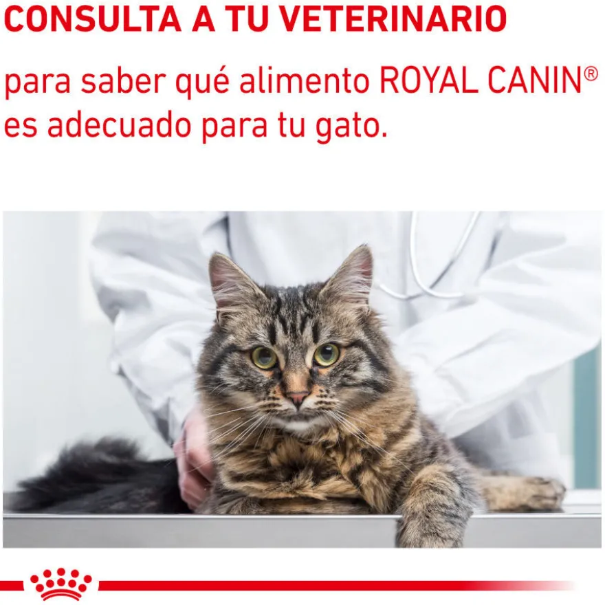 Royal Canin Mature Consult Balance Paté sobre para gatos