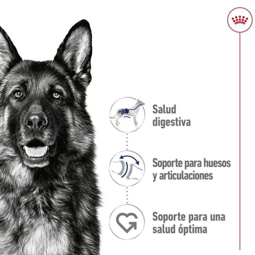 Royal Canin Maxi Adult Carne sobre en salsa para perros