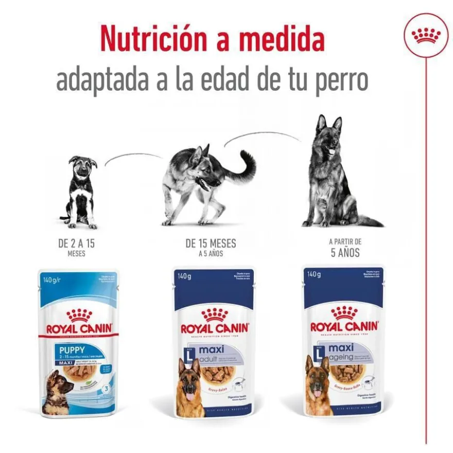Royal Canin Maxi Adult Carne sobre en salsa para perros