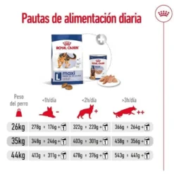 Royal Canin Maxi Adult pienso para perros