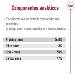 Royal Canin Maxi Adult pienso para perros