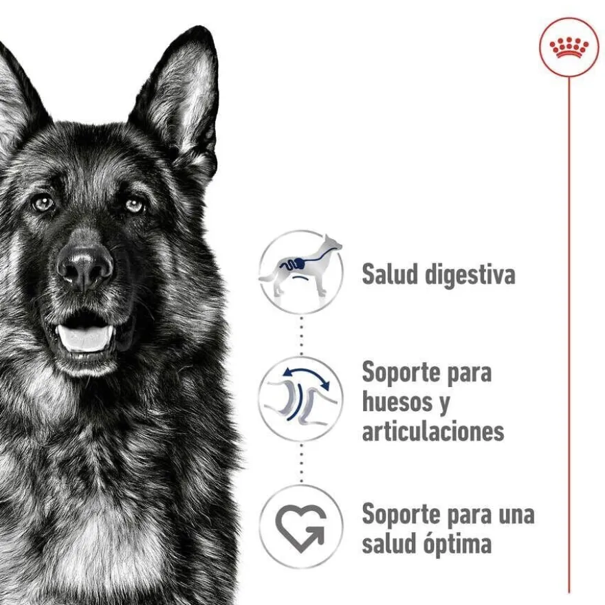 Royal Canin Maxi Adult pienso para perros