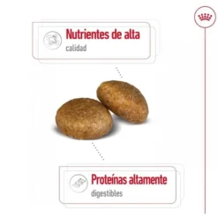 Royal Canin Maxi Adult pienso para perros