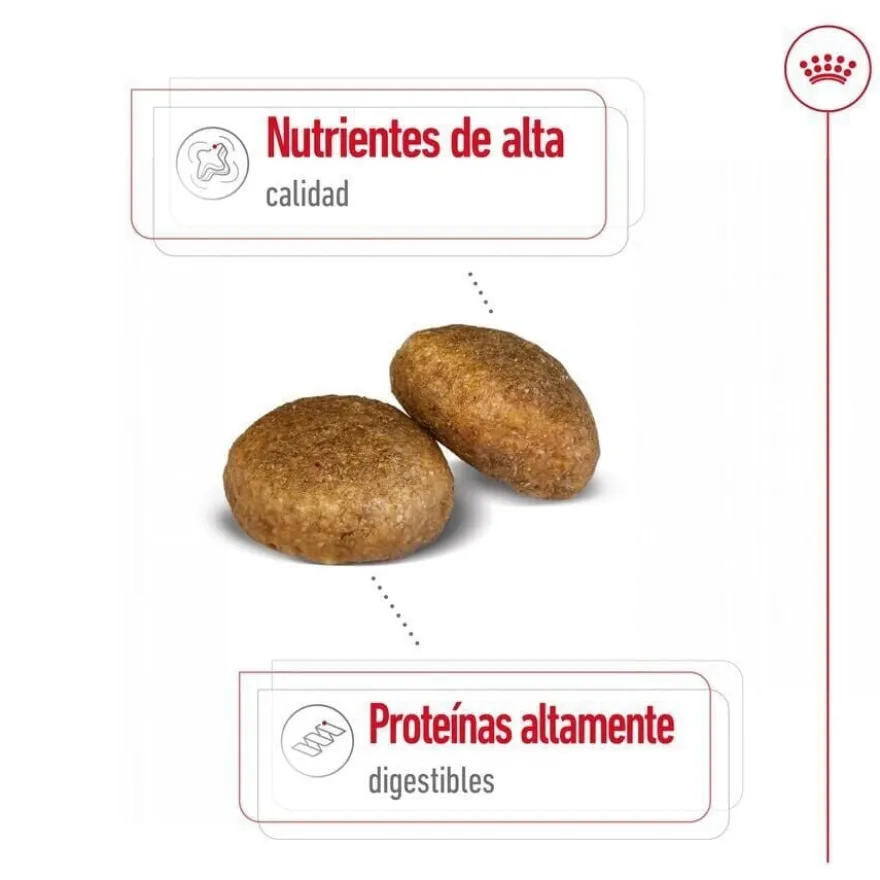Royal Canin Maxi Adult pienso para perros
