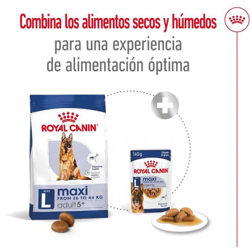 Royal Canin Maxi Adult 5+ pienso para perros senior de raza grande