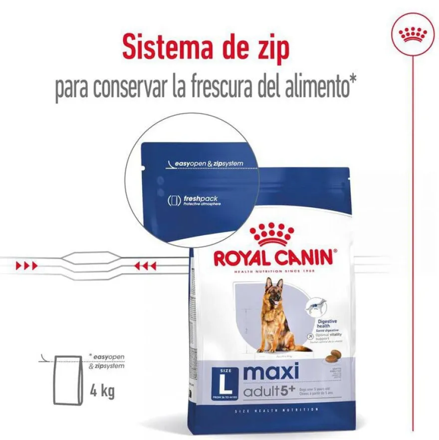 Royal Canin Maxi Adult 5+ pienso para perros senior de raza grande