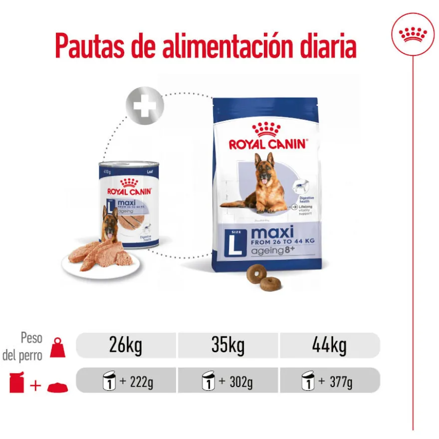 Royal Canin Maxi Ageing 5+ Paté lata para perros senior