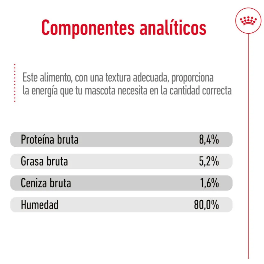 Royal Canin Maxi Ageing 5+ Paté lata para perros senior