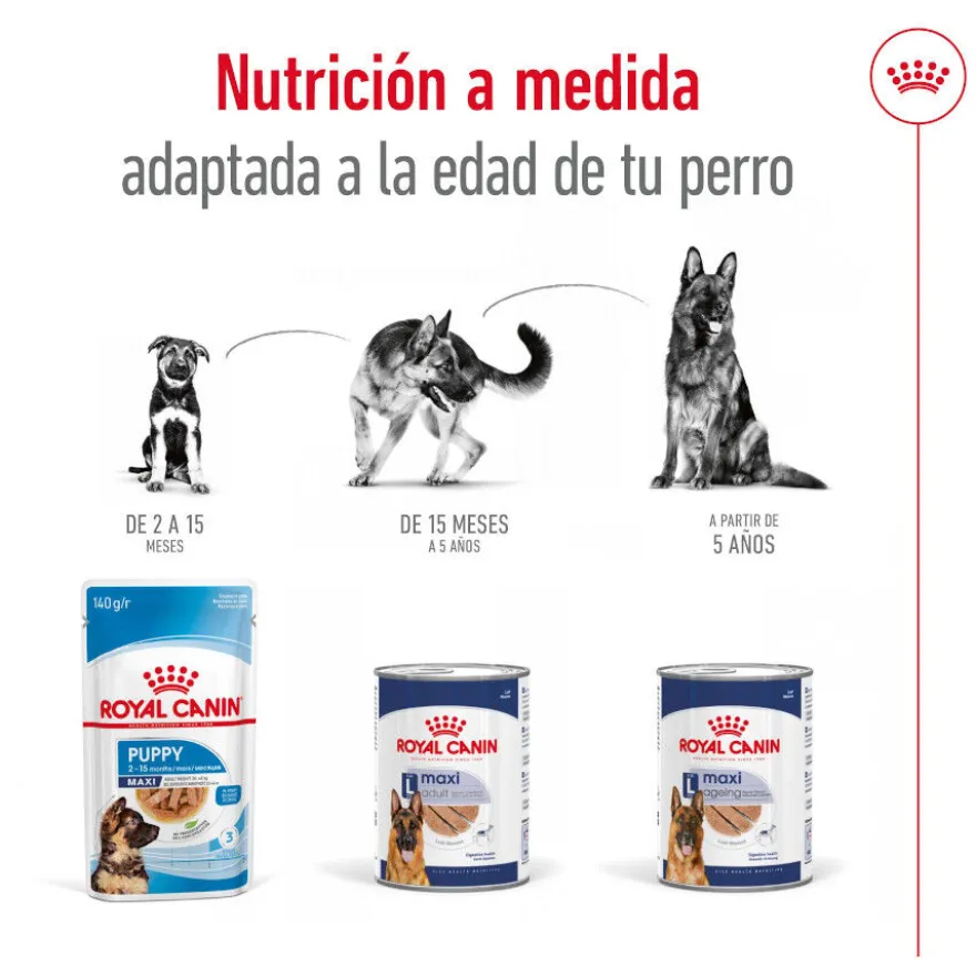 Royal Canin Maxi Ageing 5+ Paté lata para perros senior