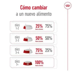Royal Canin Maxi Ageing 8+ pienso para perros senior