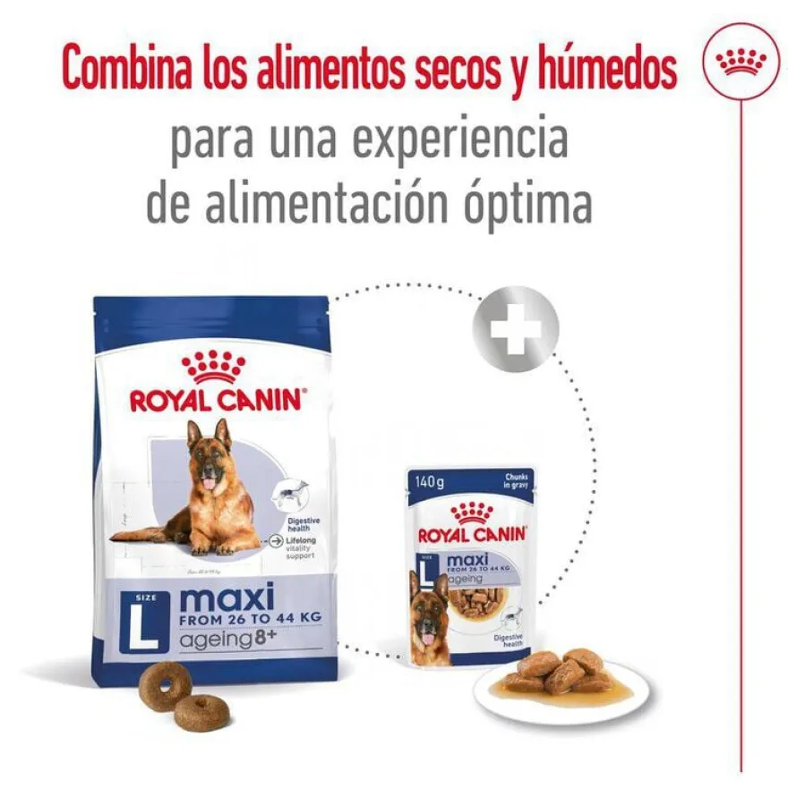 Royal Canin Maxi Ageing 8+ pienso para perros senior