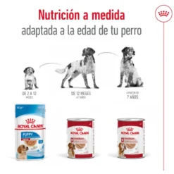 Royal Canin Medium Adult Paté lata para perros