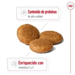 Royal Canin Medium Adult pienso para perros