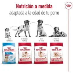Royal Canin Medium Adult pienso para perros