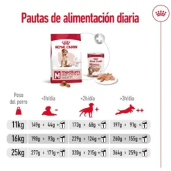 Royal Canin Medium 7+ Adult pienso para perros senior