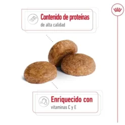 Royal Canin Medium 7+ Adult pienso para perros senior