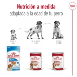 Royal Canin Medium 7+ Ageing lata para perros senior
