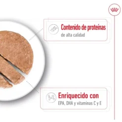 Royal Canin Medium 7+ Ageing lata para perros senior