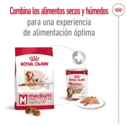 Royal Canin Medium 10+ Ageing pienso para perros senior