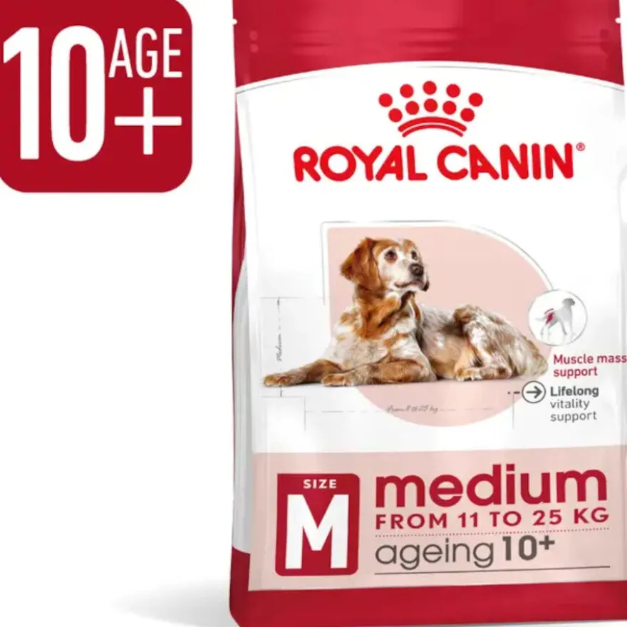 Royal Canin Medium 10+ Ageing pienso para perros senior