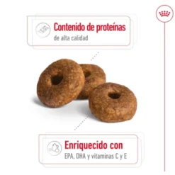 Royal Canin Medium 10+ Ageing pienso para perros senior