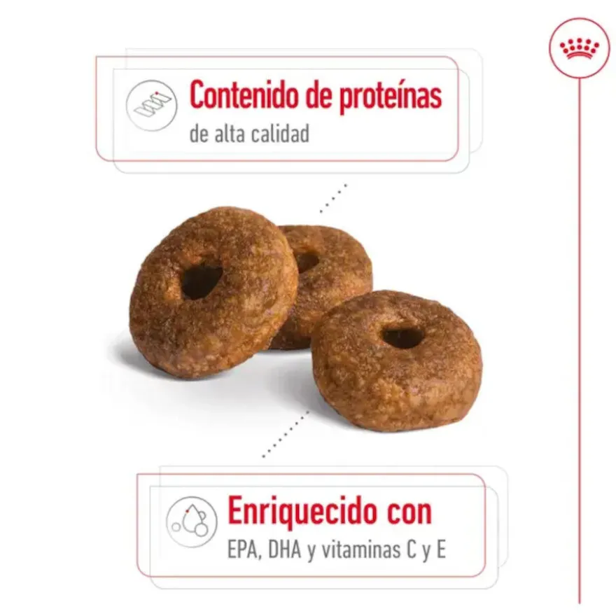 Royal Canin Medium 10+ Ageing pienso para perros senior