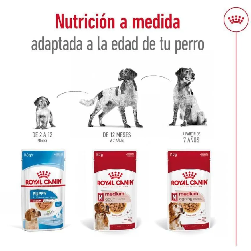 Royal Canin Medium Ageing sobre en salsa para perros senior