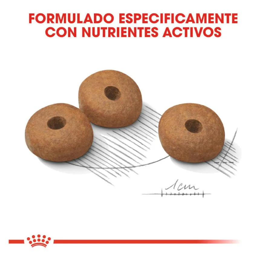 Royal Canin Medium Light Weight Care pienso para perros