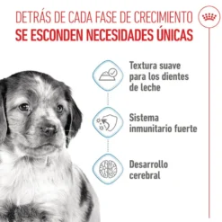 Royal Canin Medium Puppy Sobres para perros