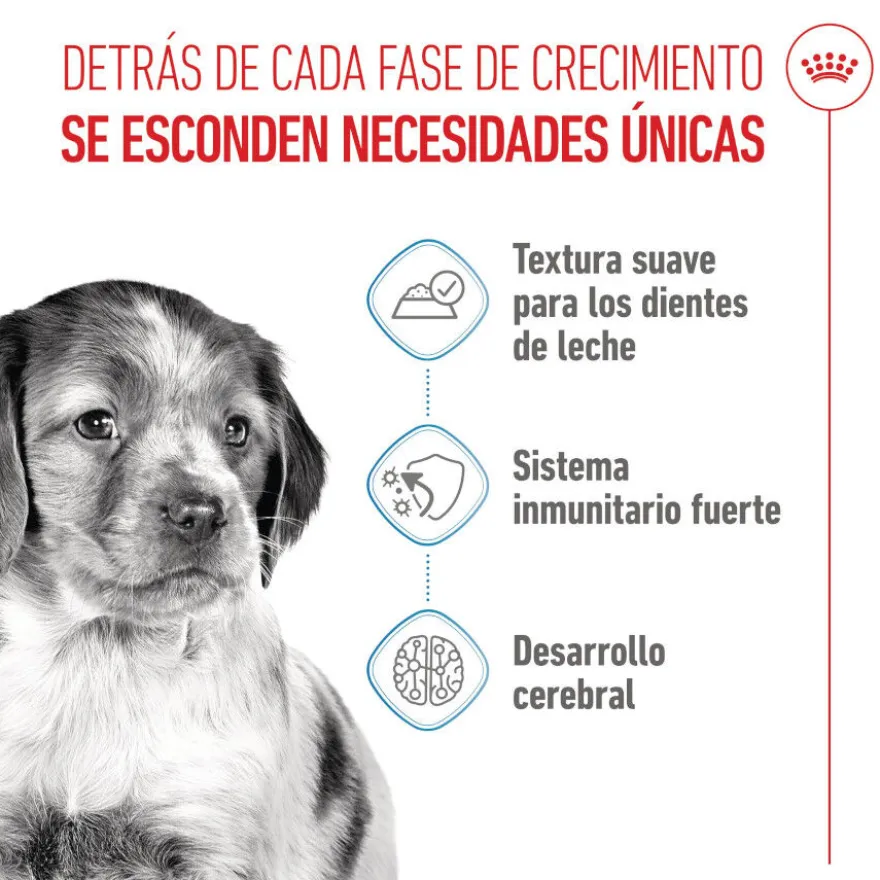 Royal Canin Medium Puppy Sobres para perros