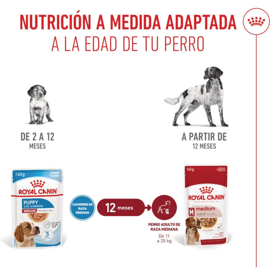 Royal Canin Medium Puppy Sobres para perros
