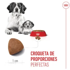 Royal Canin Medium Starter Mother&Baby pienso para perros