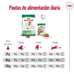 Royal Canin Mini 8+ Adult pienso para perros