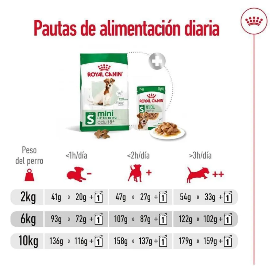 Royal Canin Mini 8+ Adult pienso para perros
