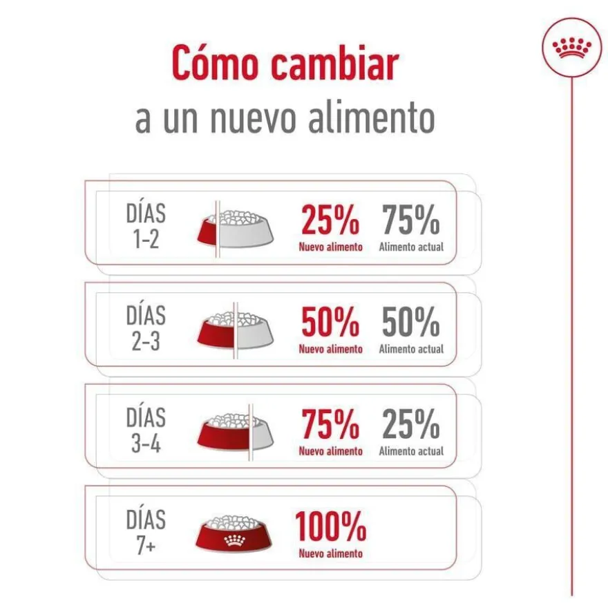 Royal Canin Mini 8+ Adult pienso para perros