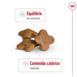 Royal Canin Mini 8+ Adult pienso para perros