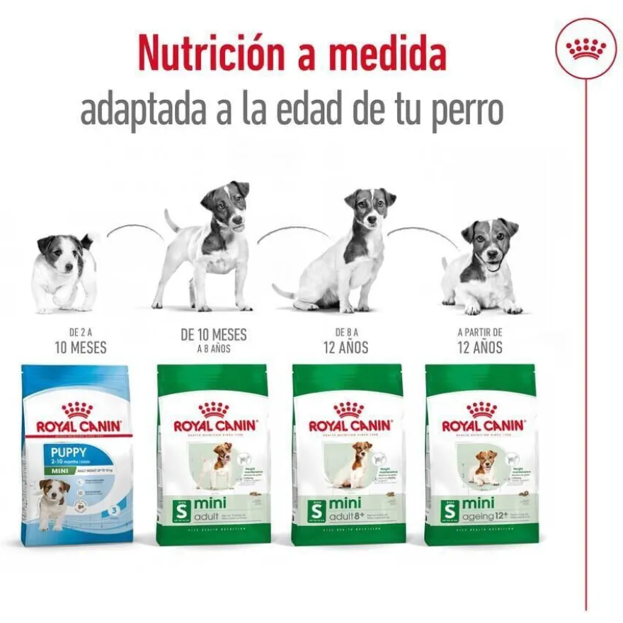 Royal Canin Mini 8+ Adult pienso para perros