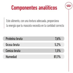Royal Canin Mini Adult sobre en salsa para perros