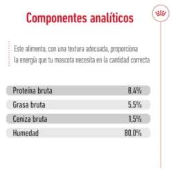 Royal Canin Mini 8+ Ageing lata para perros senior