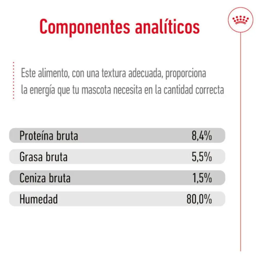 Royal Canin Mini 8+ Ageing lata para perros senior