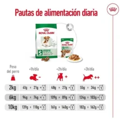 Royal Canin Mini Ageing 12+ pienso para perros senior