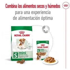 Royal Canin Mini Ageing 12+ pienso para perros senior