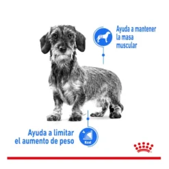 Royal Canin Mini Light Weight Care pienso para perros