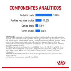 Royal Canin Mini Light Weight Care pienso para perros