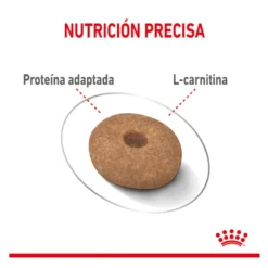 Royal Canin Mini Light Weight Care pienso para perros