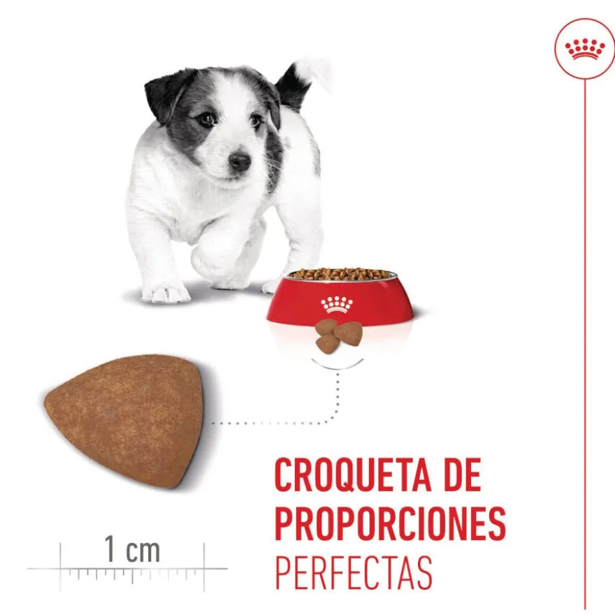 Royal Canin Mini Puppy pienso para perros