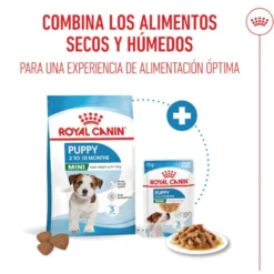 Royal Canin Mini Puppy pienso para perros